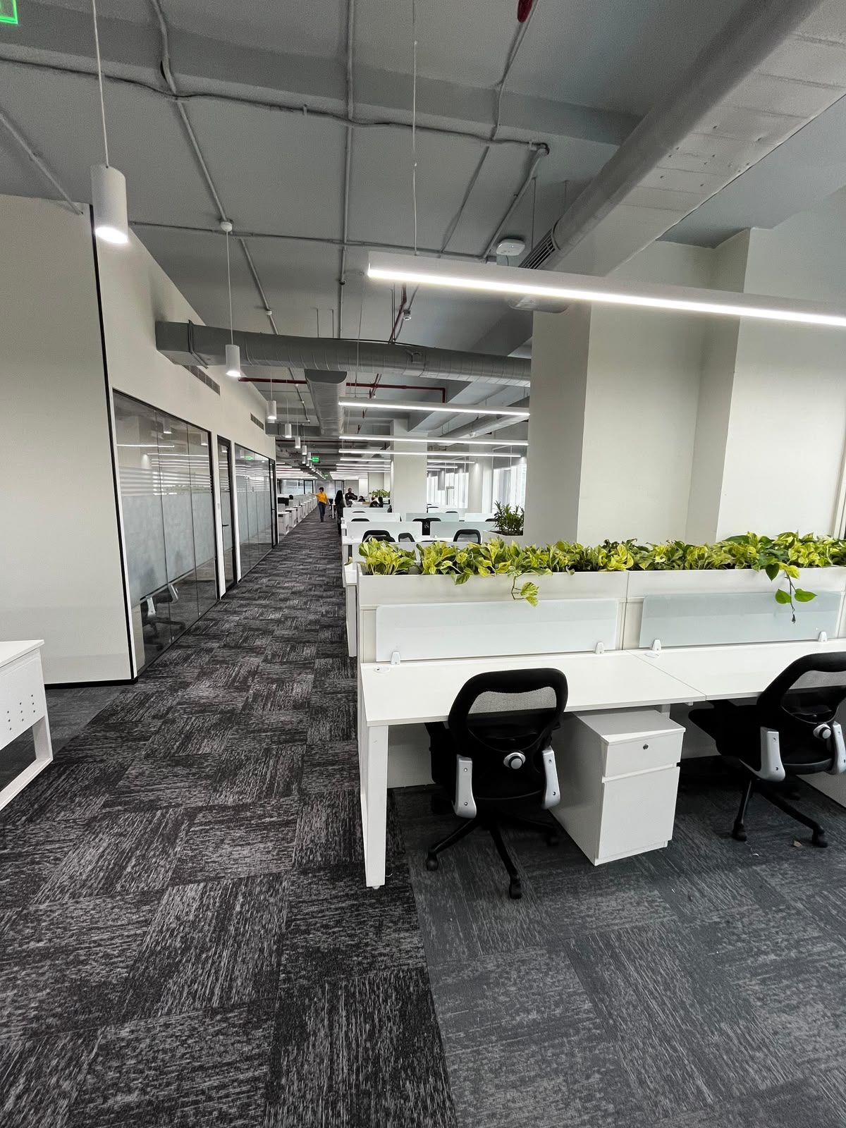 Technip office interior by Global Green, view 9